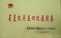 武汉信息传播职业技术学院被评为省直机关五四红旗团委（2015）